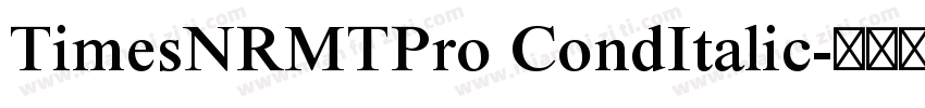 TimesNRMTPro CondItalic字体转换